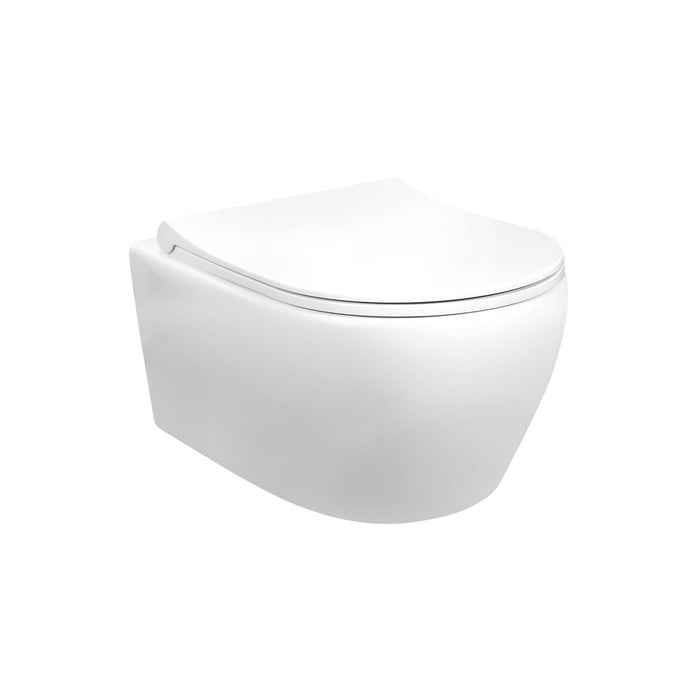 OPHANG WC MET RVS SPROEIER MAT WIT