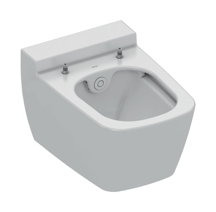 TECEONE WC MET DOUCHEFUNCTIE, KOUD WATER BELGAQUA