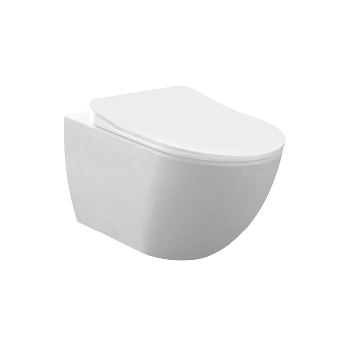 RIMOFF OPHANG WC MET RVS SPROEIER (BIDET), MAT WIT
