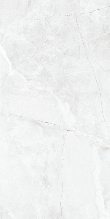 Seramiksan ZEUS SILVER 30X60 GLANZEND